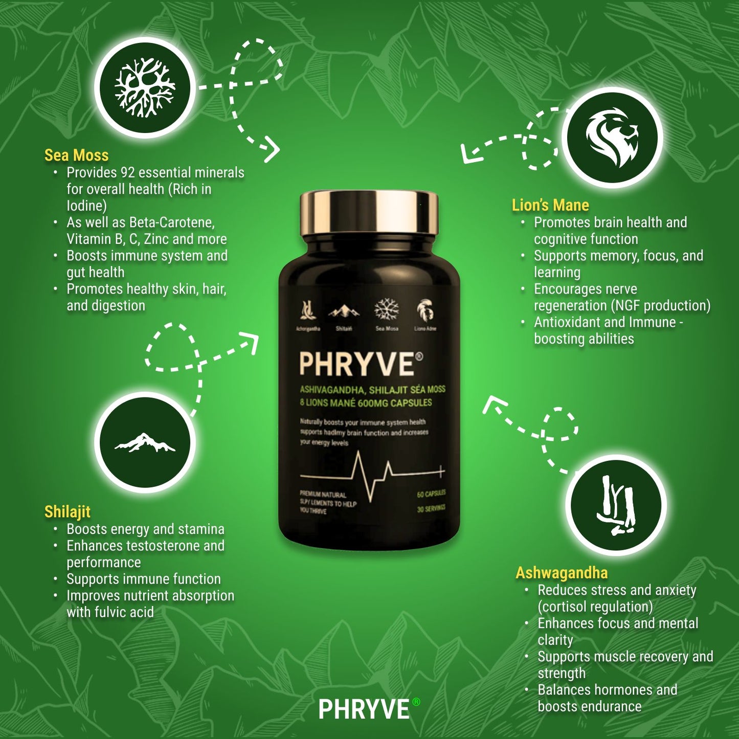 Phryve Performance+